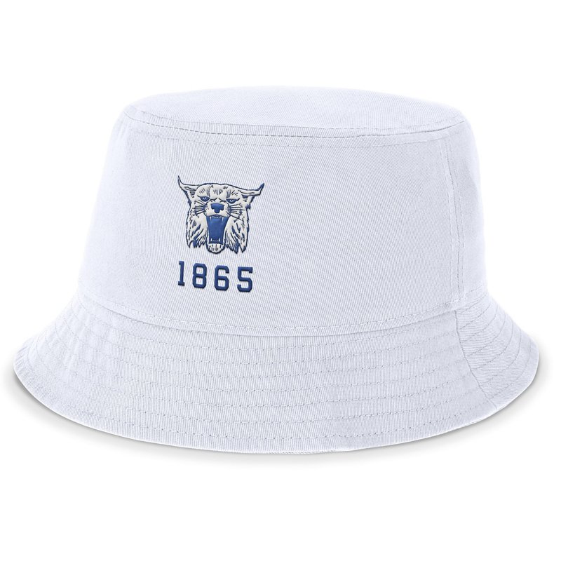 Nike Kentucky Wildc… - image
