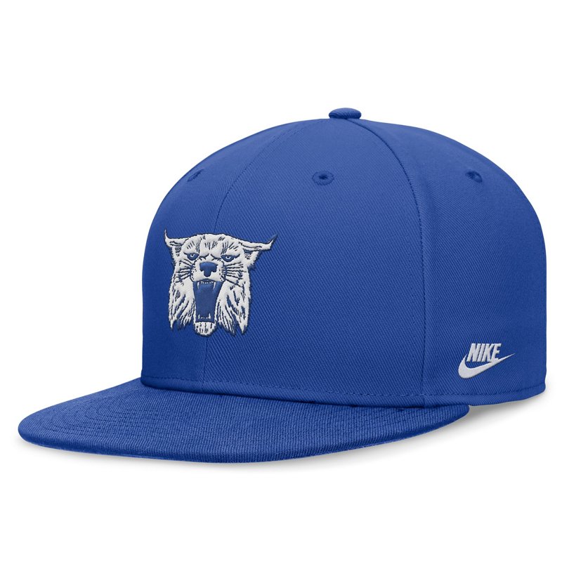 Nike Kentucky Wildc… - image