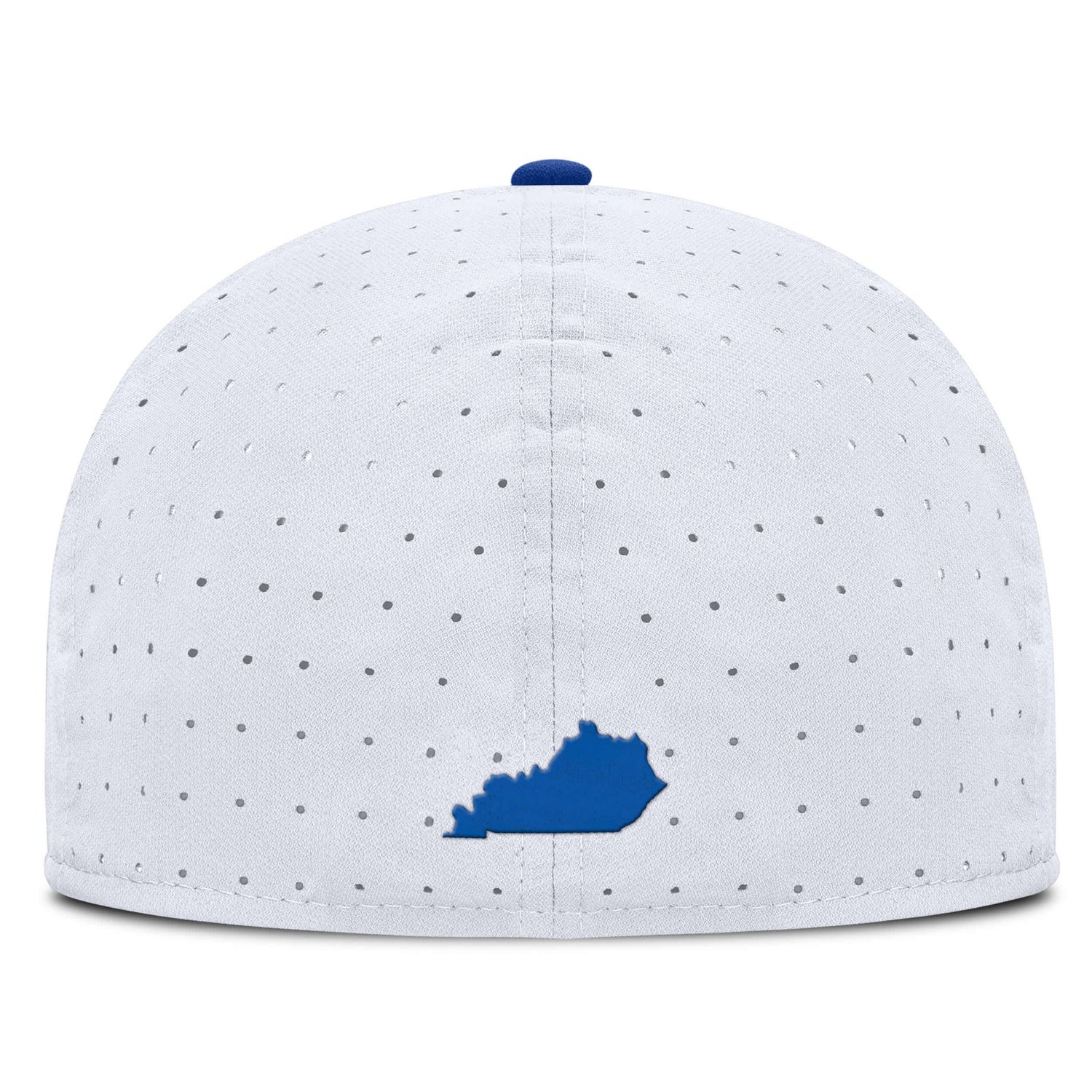 Nike Kentucky Wildcats On-Field Dugout True Performance Fitted Hat - view number 4