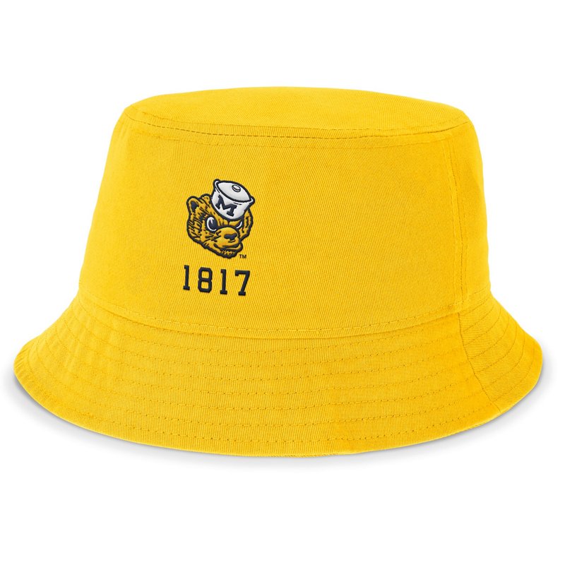 Nike Michigan Wolve… - image