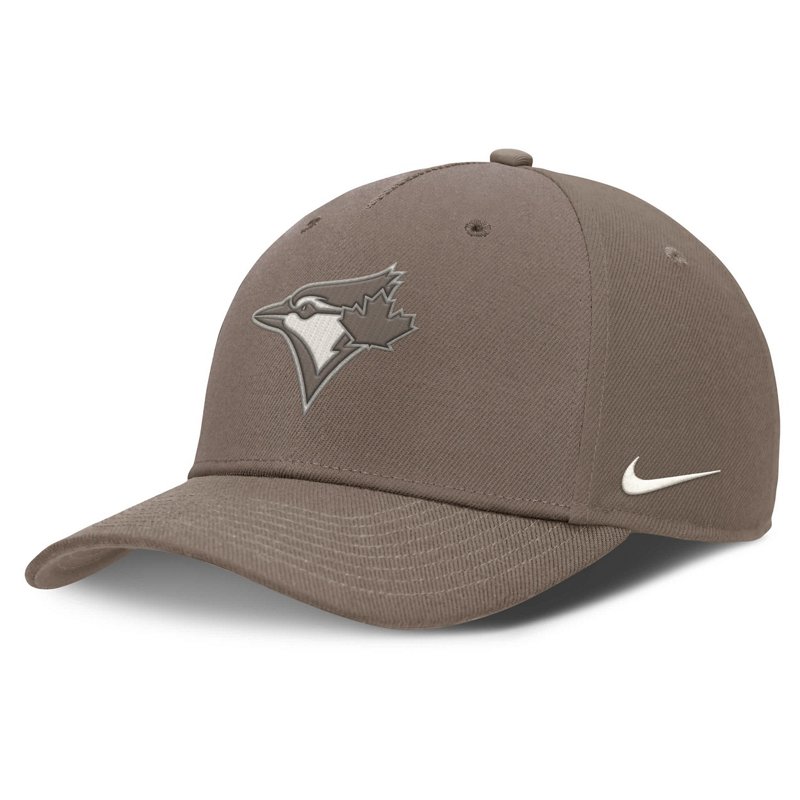Nike Toronto Blue J… - image