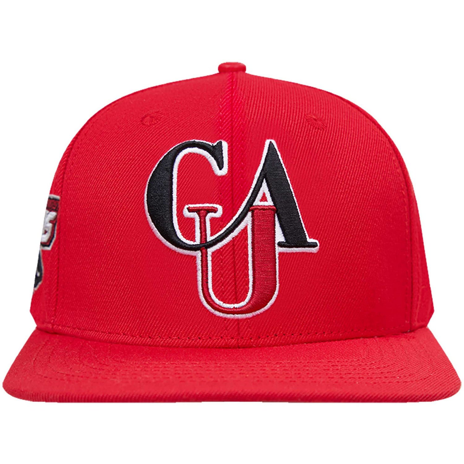 Pro Standard Clark Atlanta Panthers Arch Over Logo Evergreen Snapback Hat - view number 2
