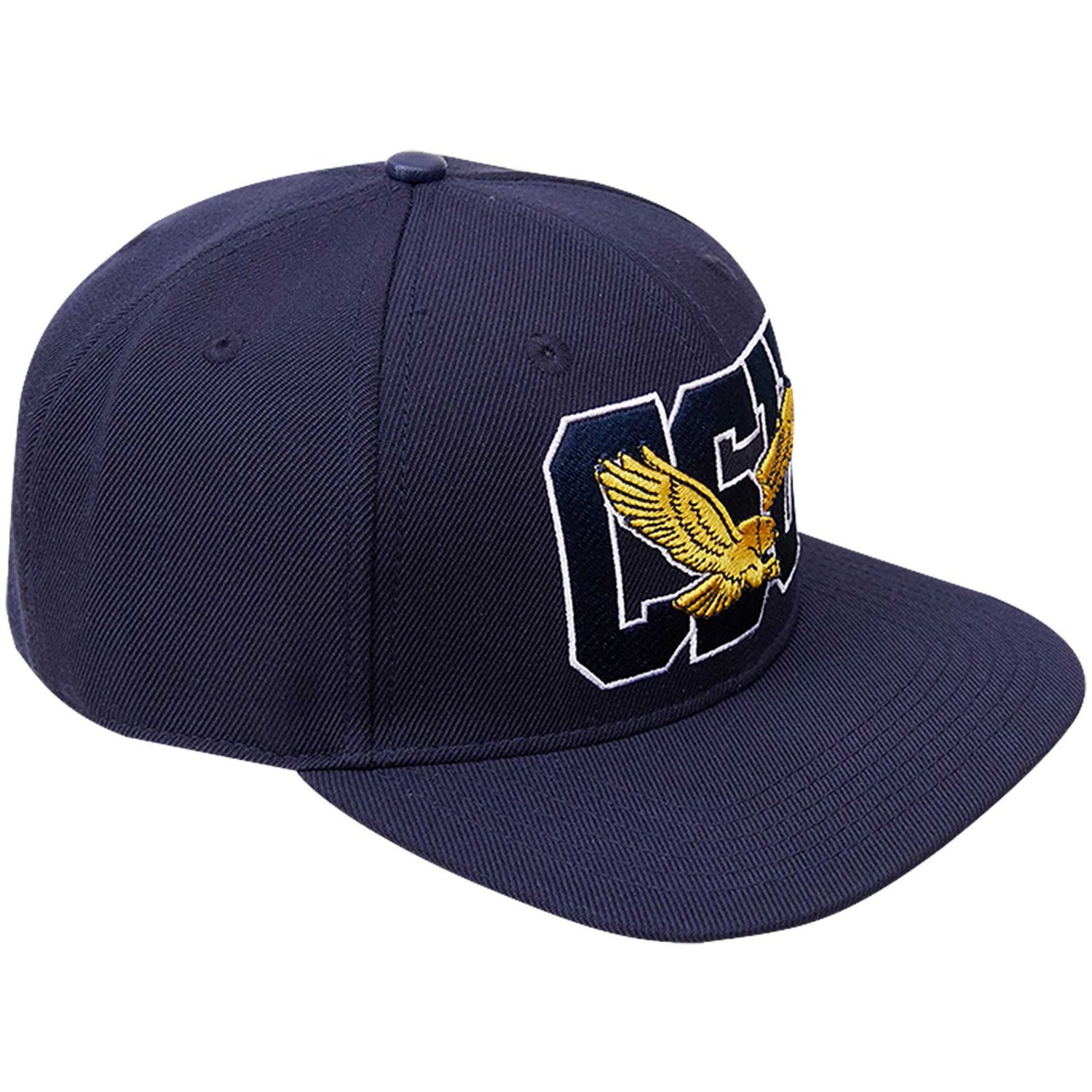 Pro Standard Coppin State Eagles Evergreen CSU Snapback Hat                                                                      - view number 2