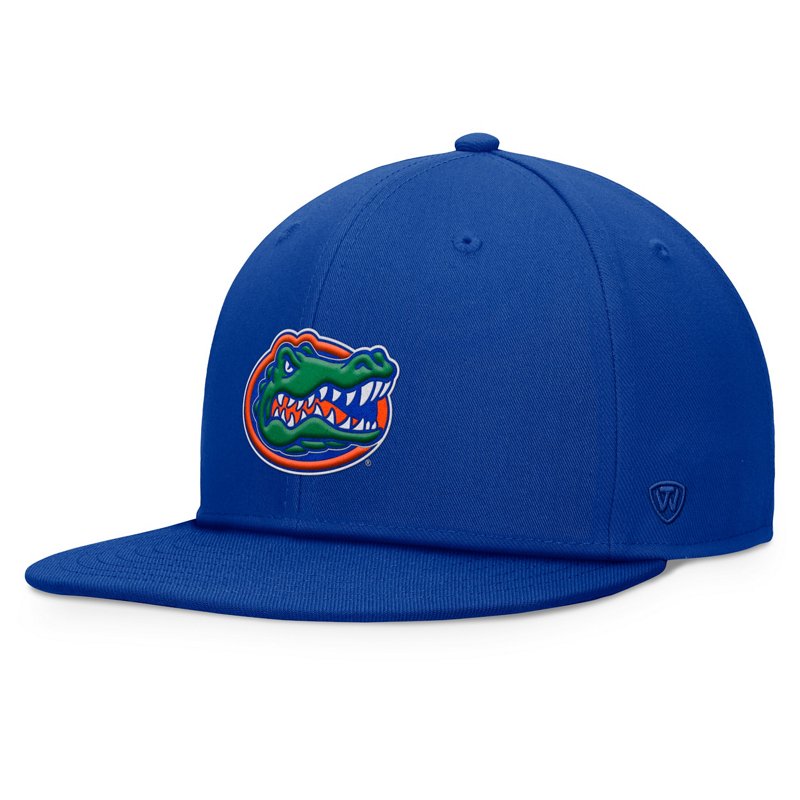 Top Of The World Florida Gators Fundamental Snapback Hat-image