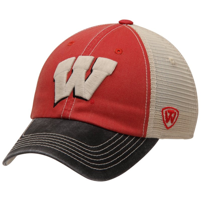 Wisconsin Badgers T… - image