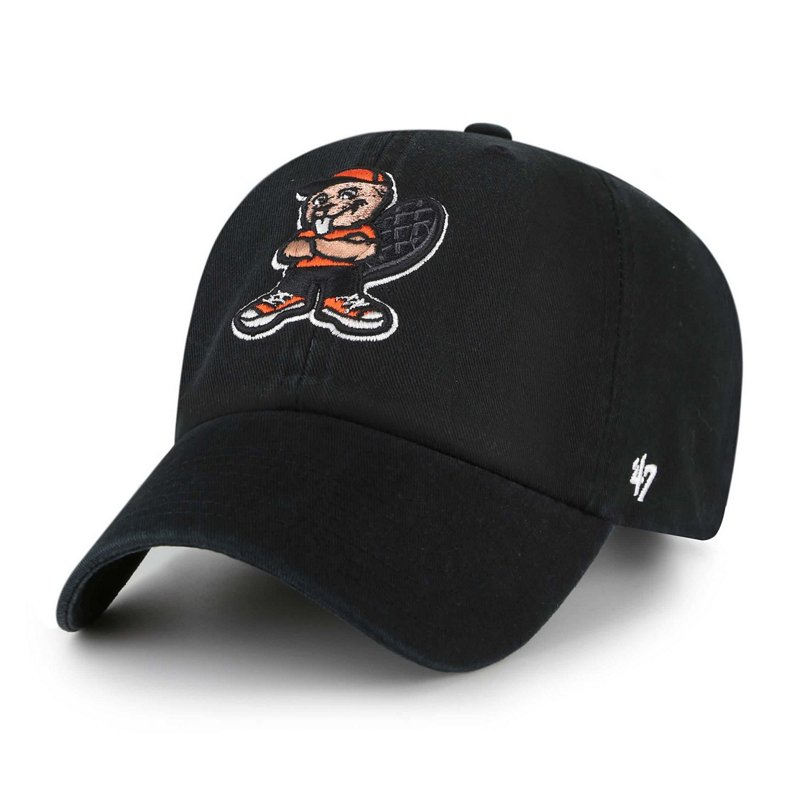 Youth '47 Oregon St… - image