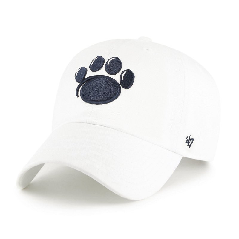 Youth '47 Penn Stat… - image