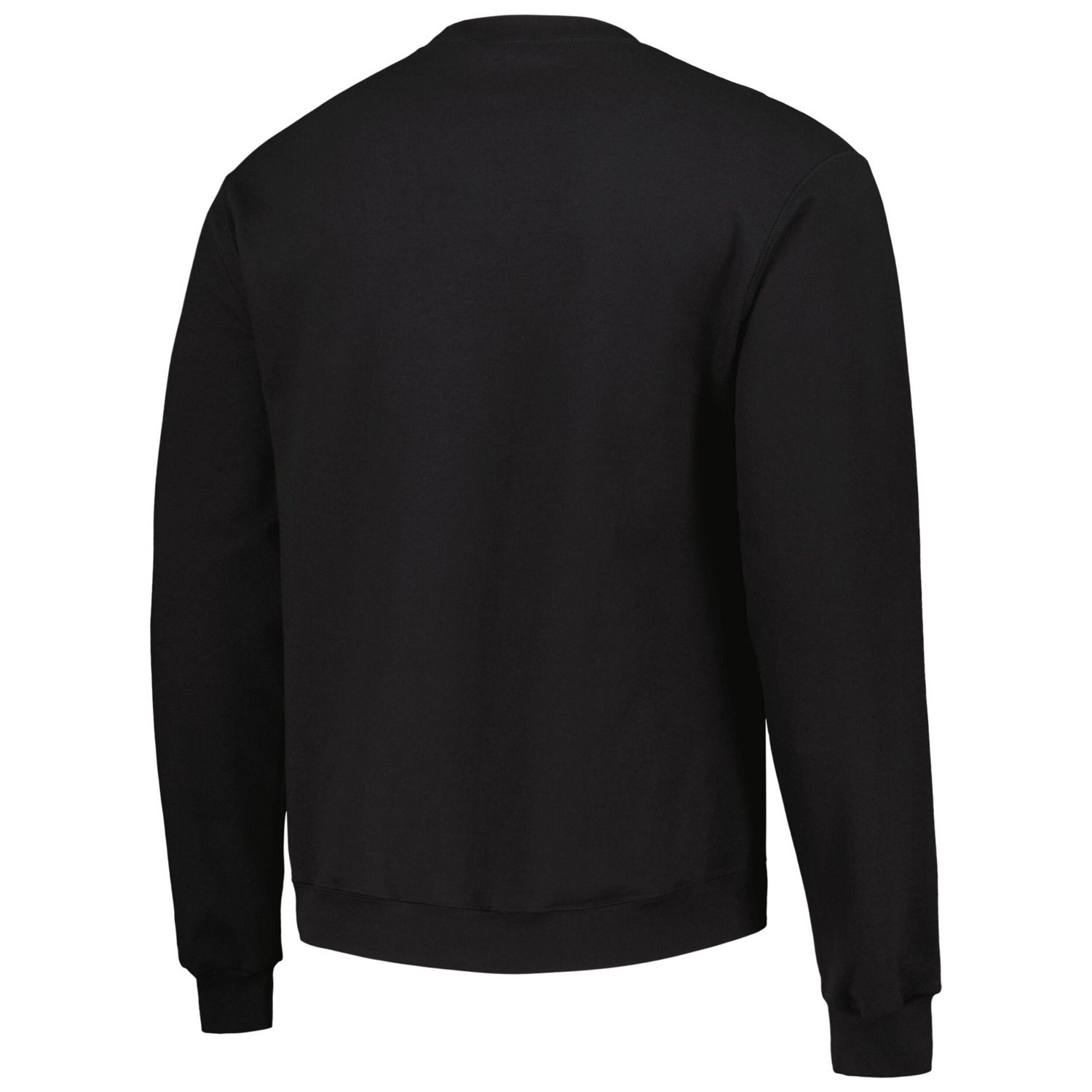 Champion Arkansas Razorbacks High Motor Pullover Sweatshirt                                                                      - view number 3