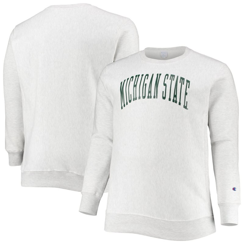 Champion Michigan S… - image