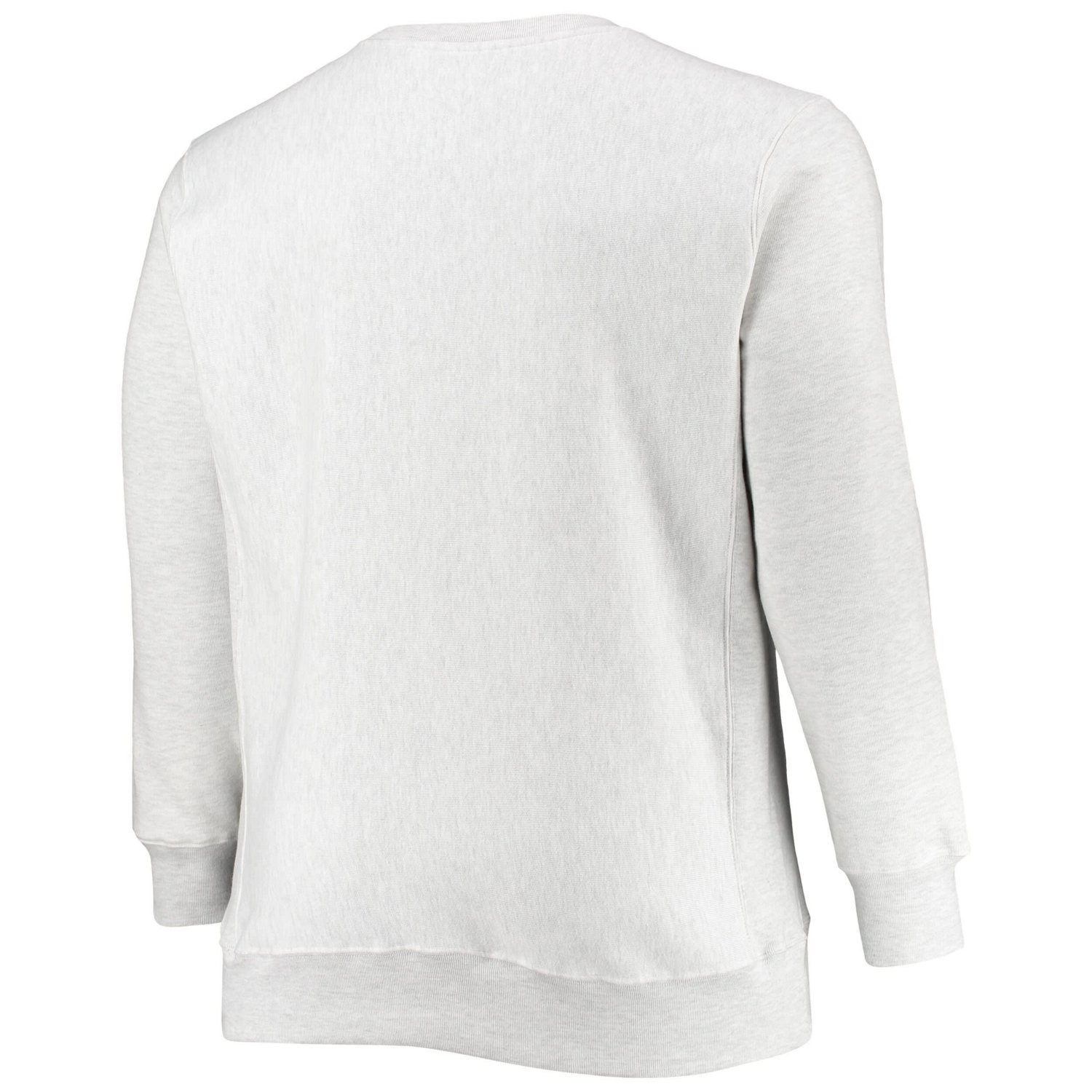 Champion Michigan State Spartans Big  Tall Reverse Weave Fleece Crewneck Pullover Sweatshirt - view number 3