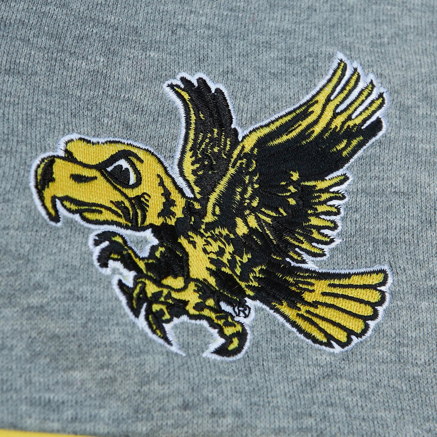 Mitchell  Ness Iowa Hawkeyes Head Coach Pullover Hoodie