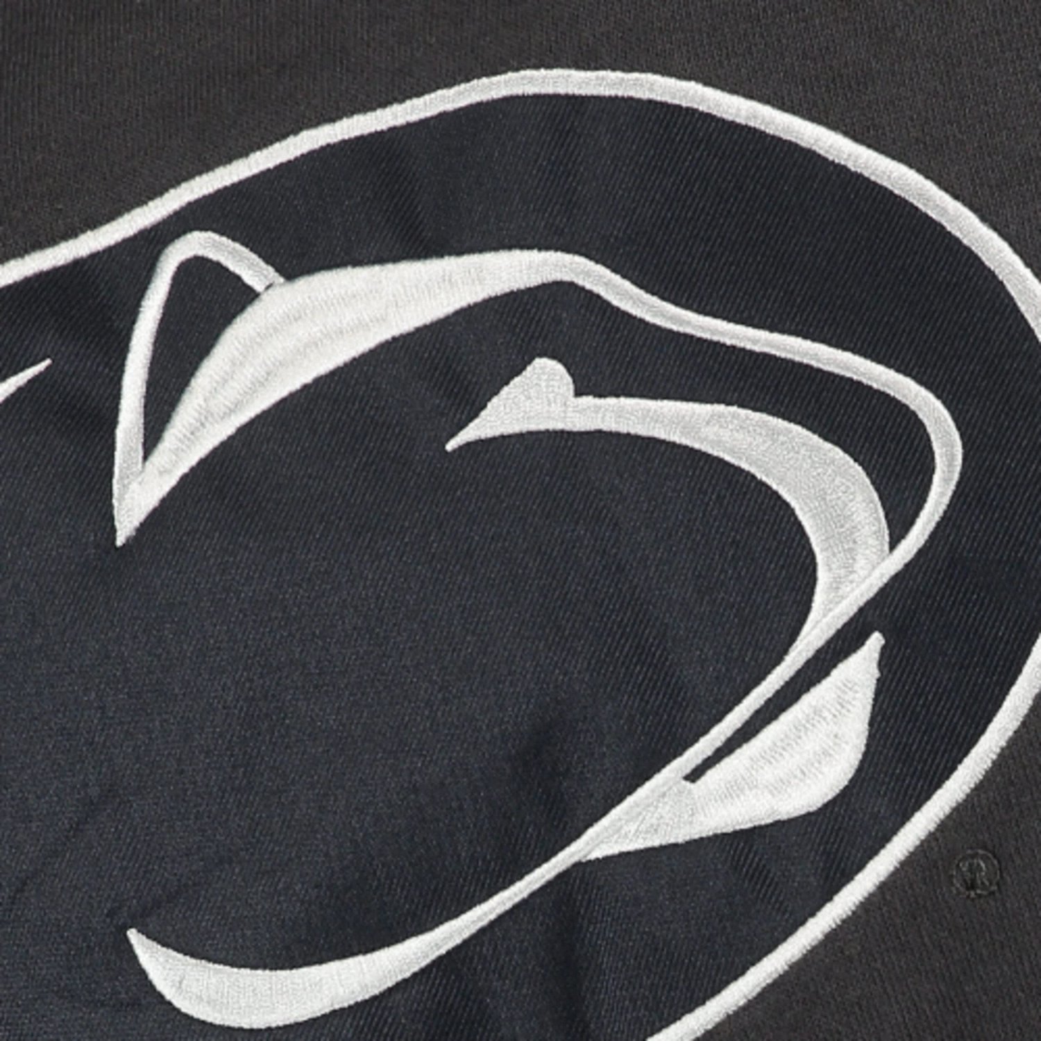 Youth Stadium Athletic Penn State Nittany Lions Big Logo Pullover Hoodie - view number 2