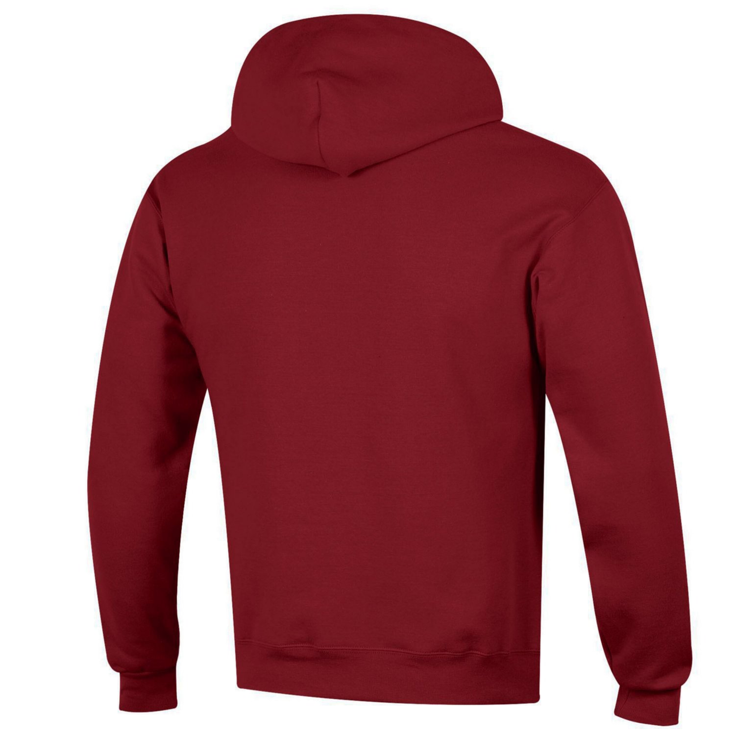 Champion Arkansas Razorbacks Arched Logo Fleece Pullover Hoodie - view number 3