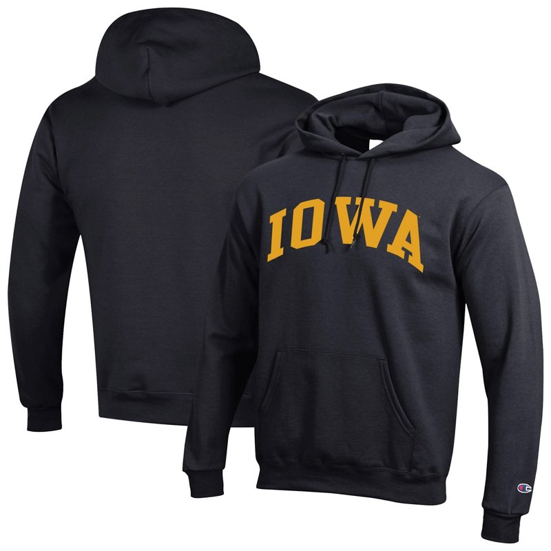 Champion Iowa Hawke… - image