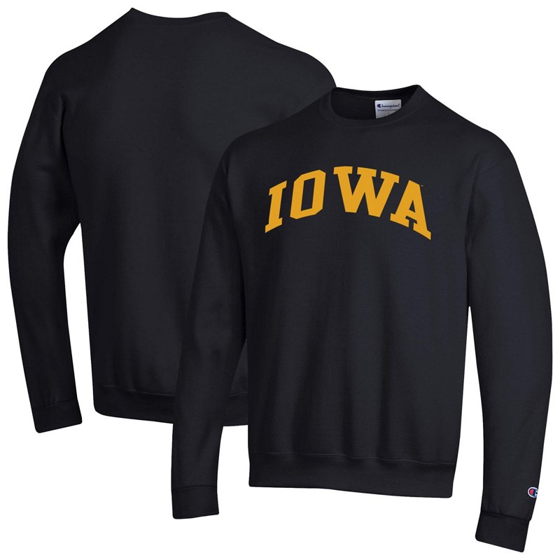 Champion Iowa Hawke… - image