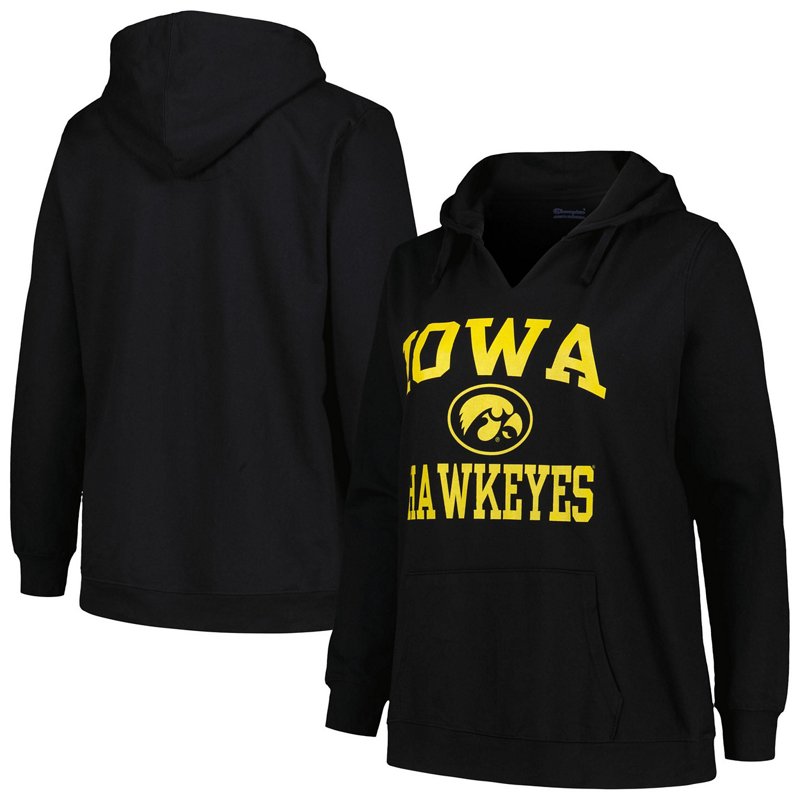 Champion Iowa Hawke… - image