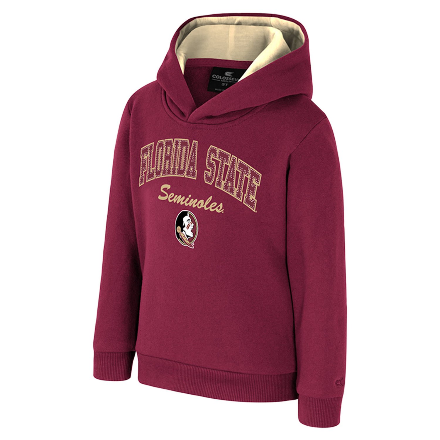 Colosseum Florida State Seminoles Centauri Pullover Hoodie