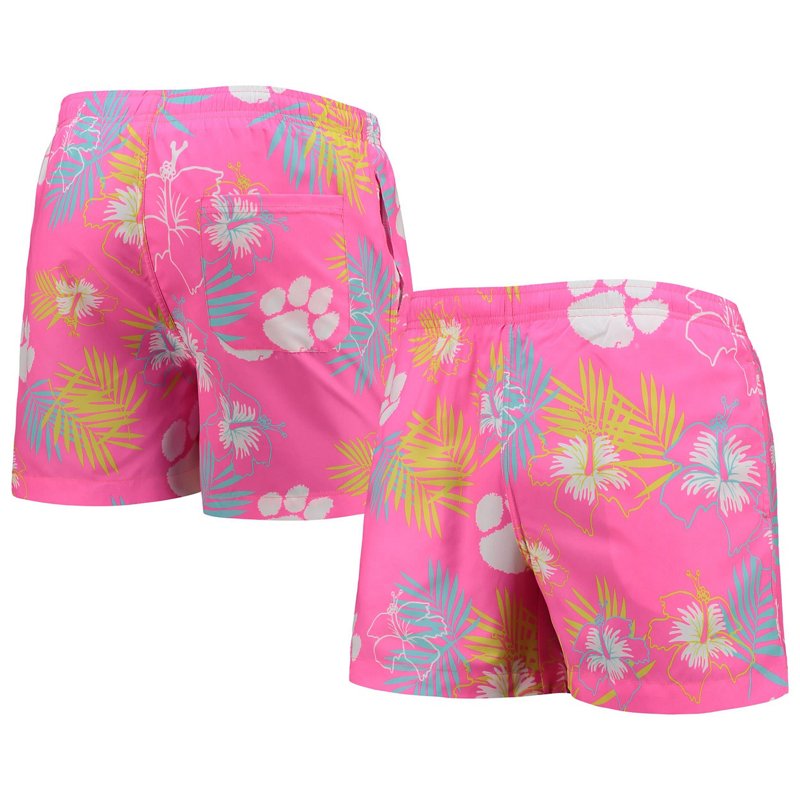Foco Clemson Tigers… - image