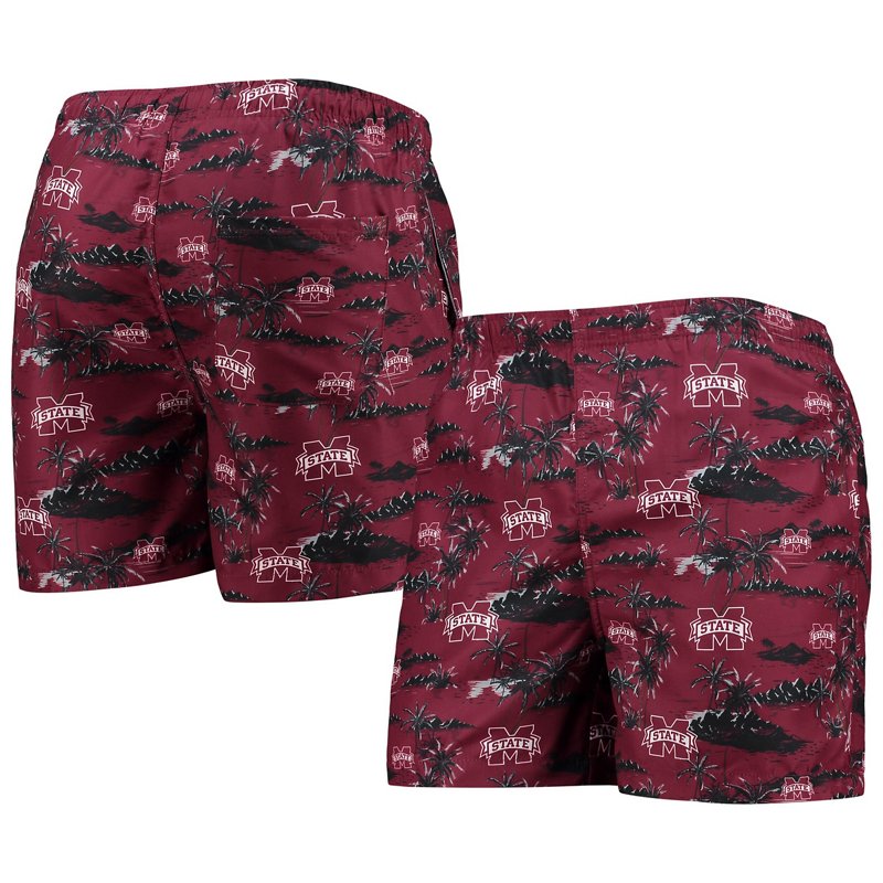 Foco Mississippi St… - image