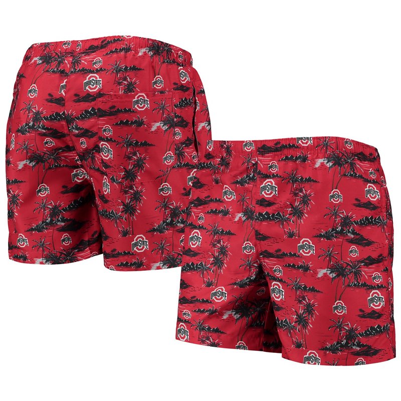 Foco Ohio State Buc… - image