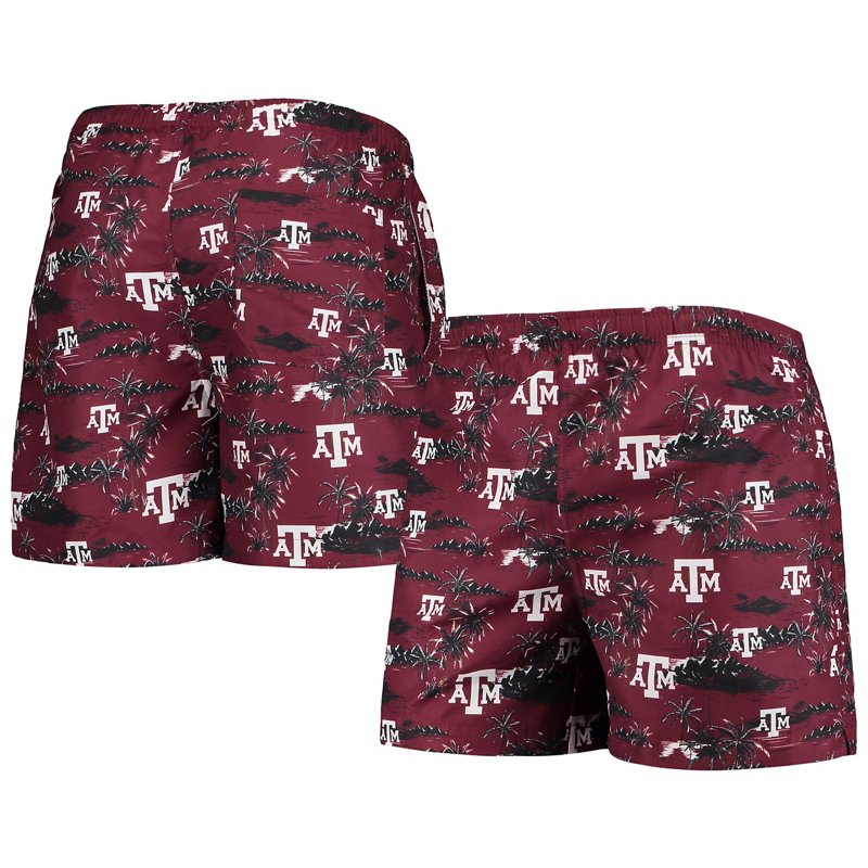 Foco Texas Am Aggie… - image