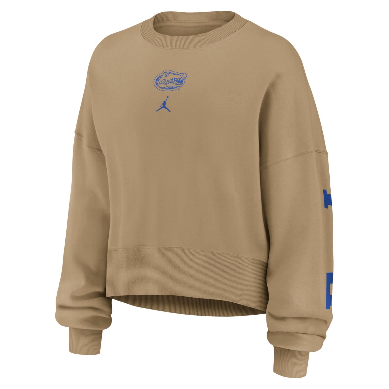 Jordan Brand Florida Gators Oversized Phoenix 2-Hit Pullover Sweatshirt - view number 4