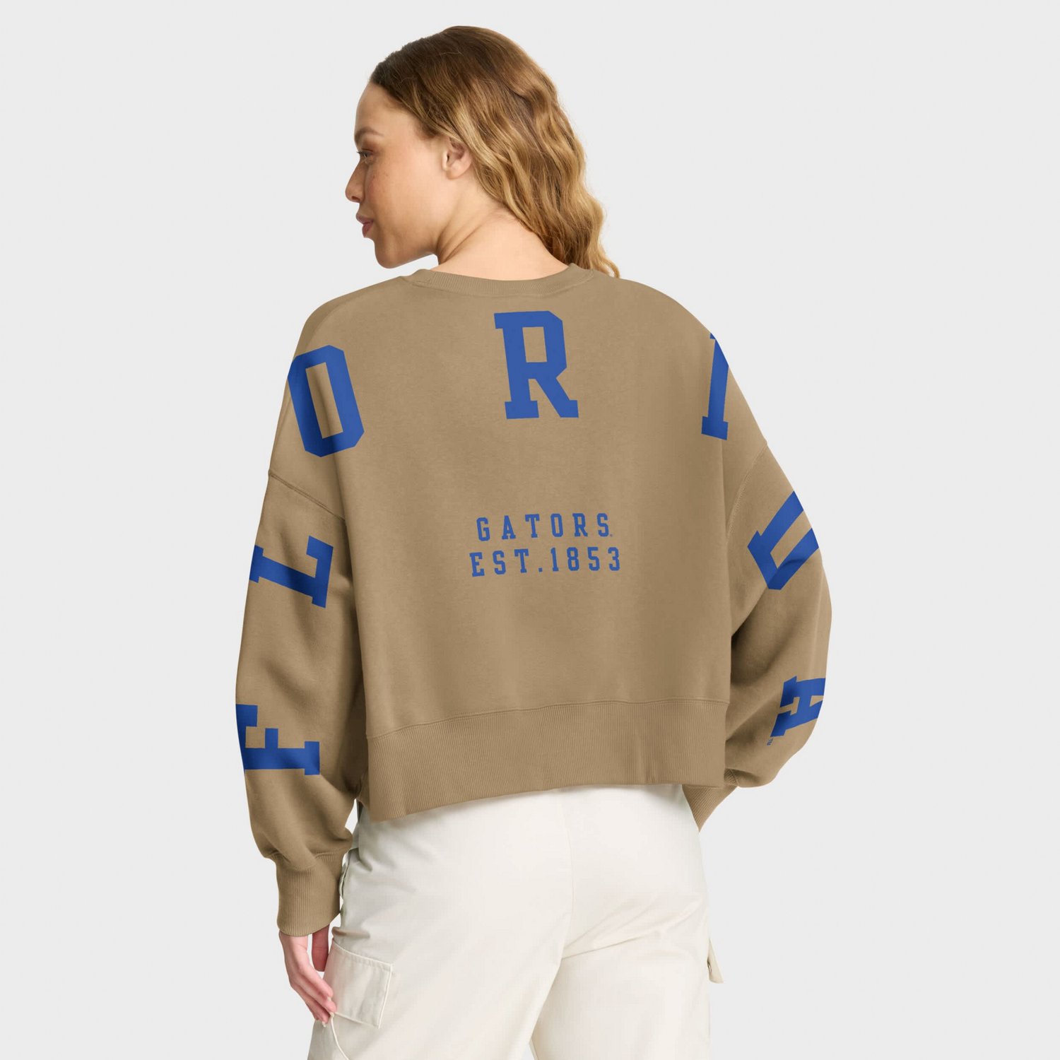 Jordan Brand Florida Gators Oversized Phoenix 2-Hit Pullover Sweatshirt - view number 2