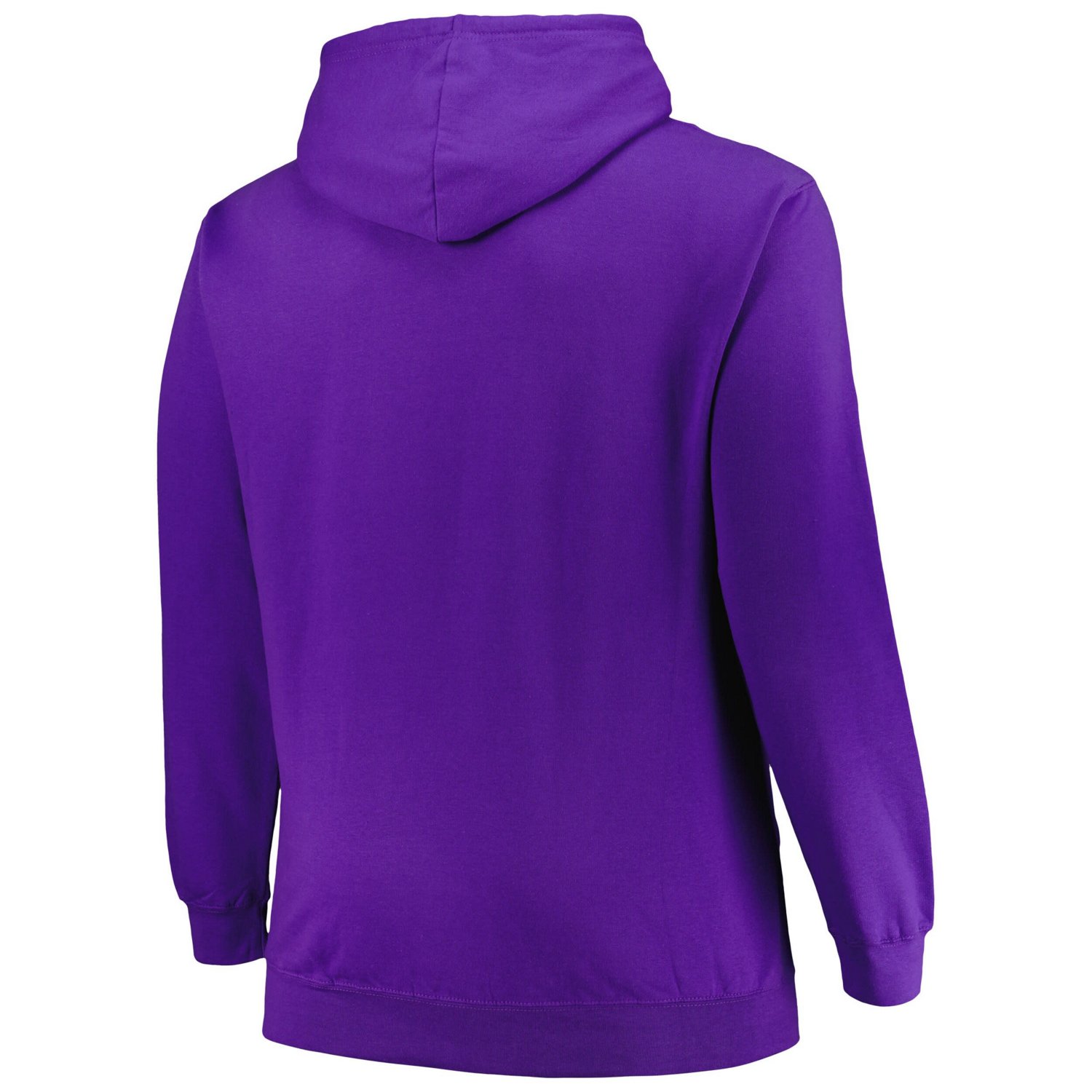 Mitchell  Ness Toronto Raptors Hardwood Classics Big  Tall Pullover Hoodie                                                       - view number 3