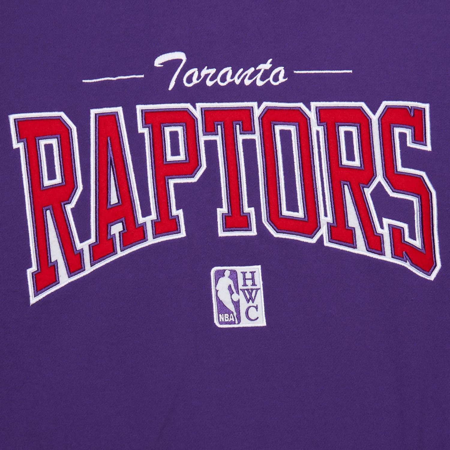 Mitchell  Ness Toronto Raptors Hardwood Classics There  Back 20 Vintage Pullover Sweatshirt                                      - view number 4
