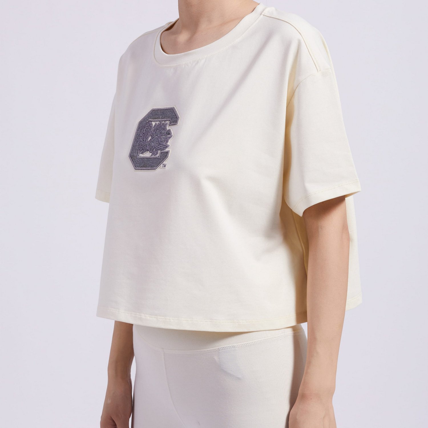 Pro Standard South Carolina Gamecocks Reverse French Terry Boxy Cropped T-Shirt - view number 2