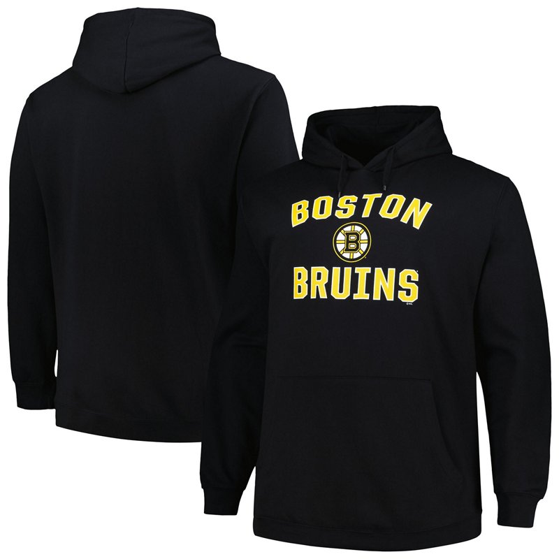 Profile Boston Brui… - image