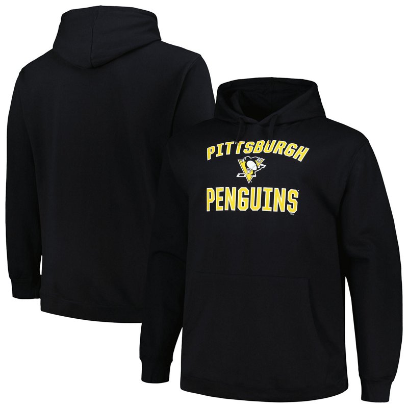 Profile Pittsburgh … - image