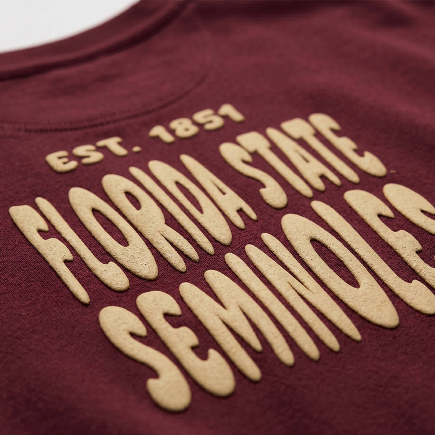Uscape Apparel Florida State Seminoles Cloud Sweatshirt - view number 4