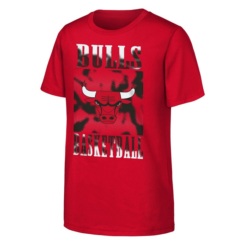 Youth Chicago Bulls… - image