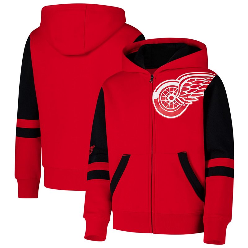 Youth Detroit Wings… - image