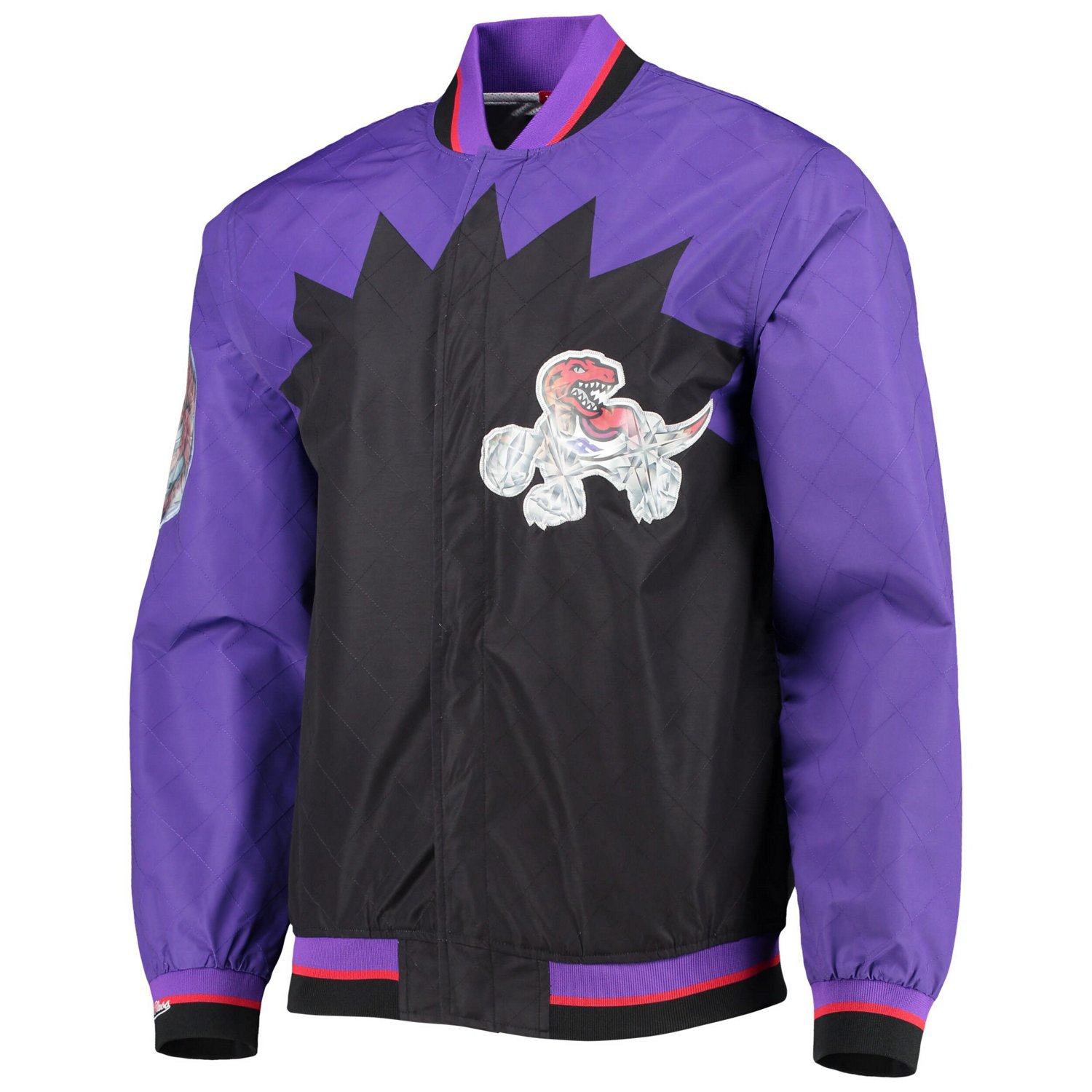 Toronto Raptors Mitchell  Ness Hardwood Classics 75th Anniversary Authentic Warmup Full-Snap Jacket                              - view number 2