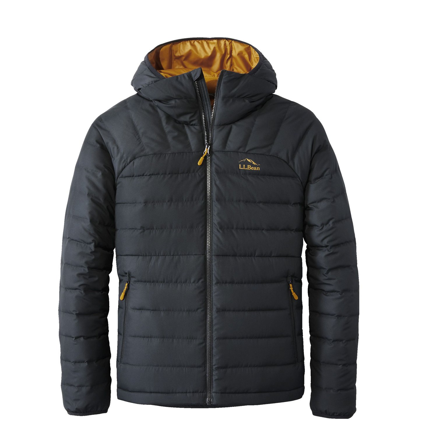 Men's Bean's Down Hooded Jacket
