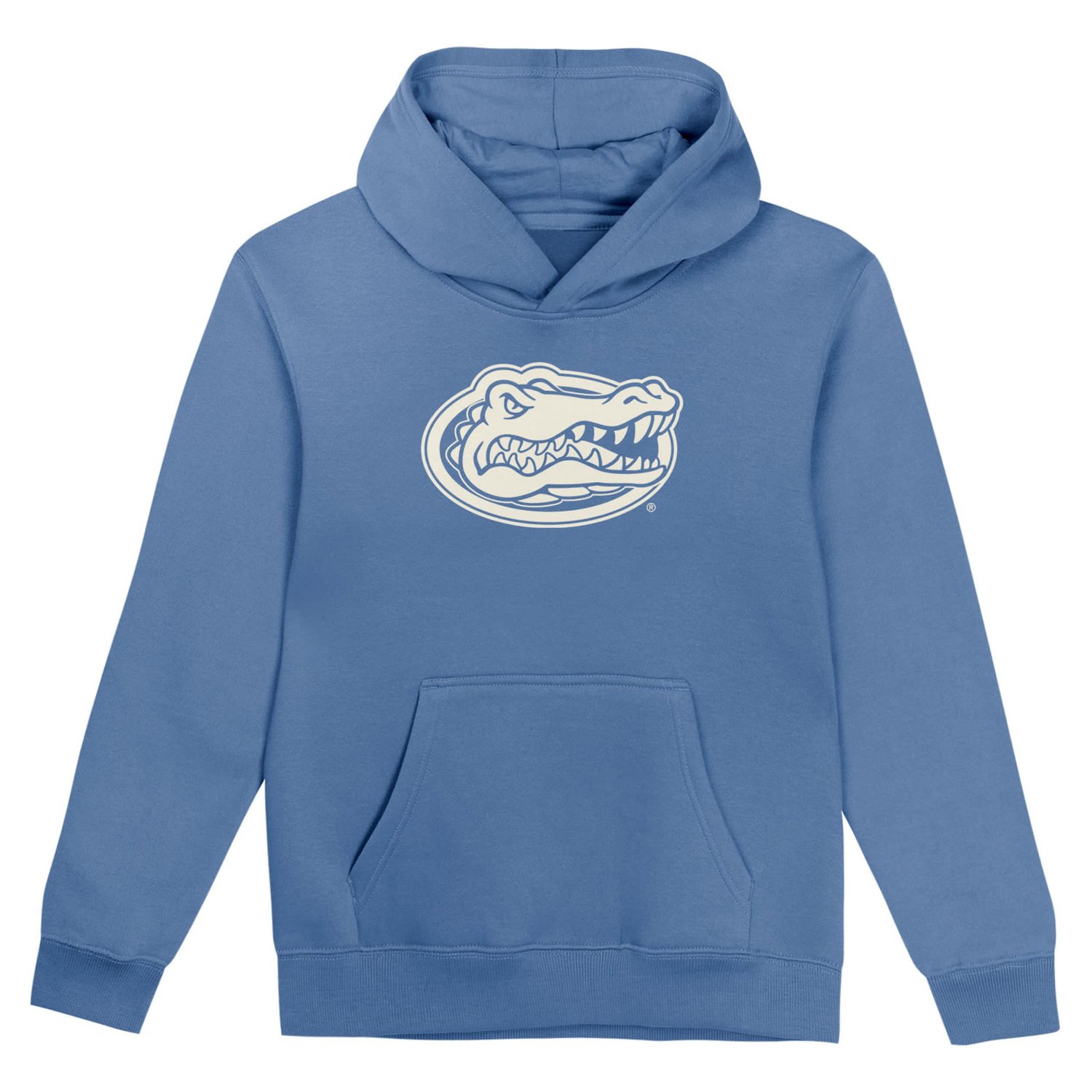 Florida Gators Team Banner Fleece Pullover Hoodie                                                                                - view number 2