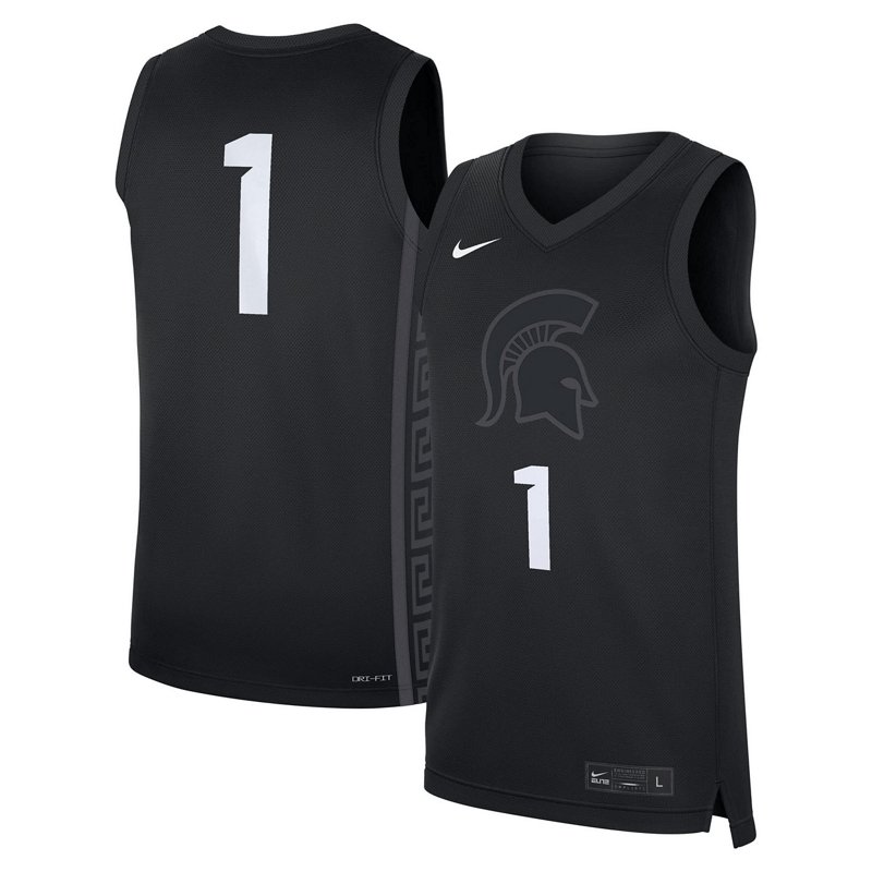 Nike 1 Michigan Sta… - image