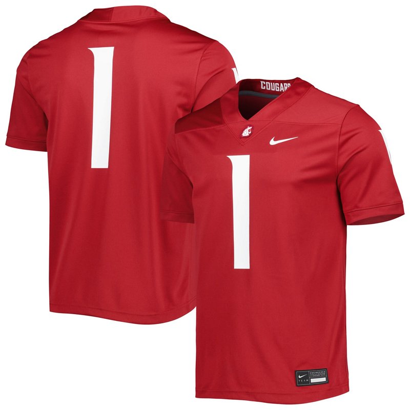 Nike 1 Washington S… - image