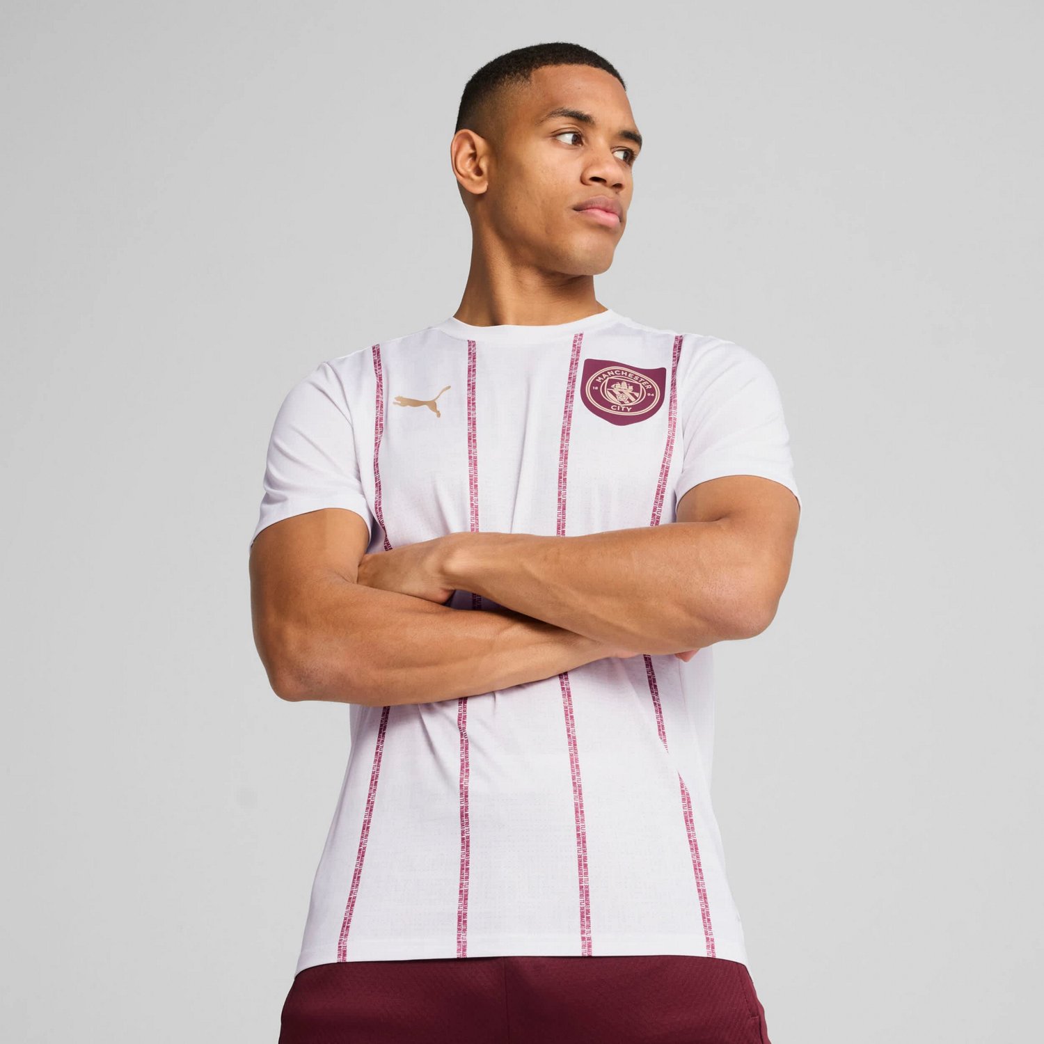Puma Manchester City 2024 25 Pre-Match Training Jersey - view number 4