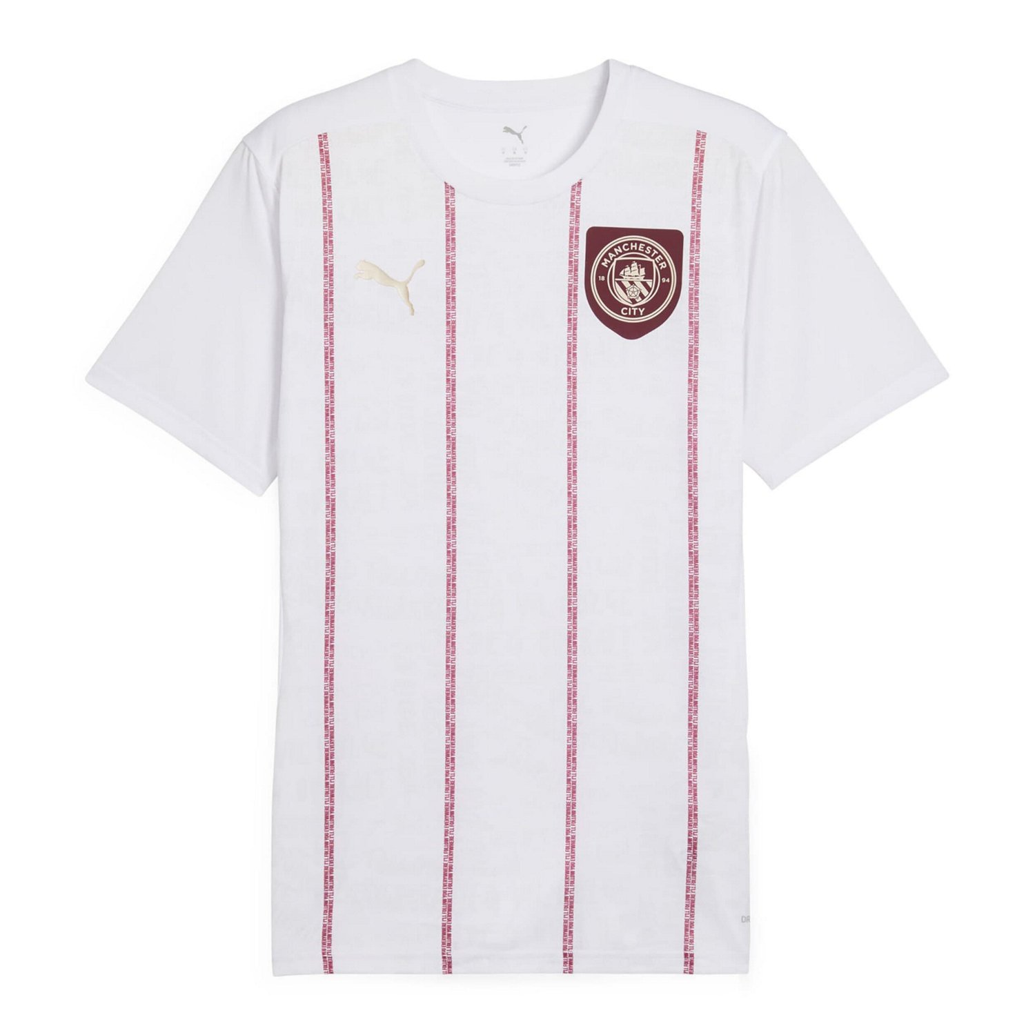 Puma Manchester City 2024 25 Pre-Match Training Jersey - view number 2