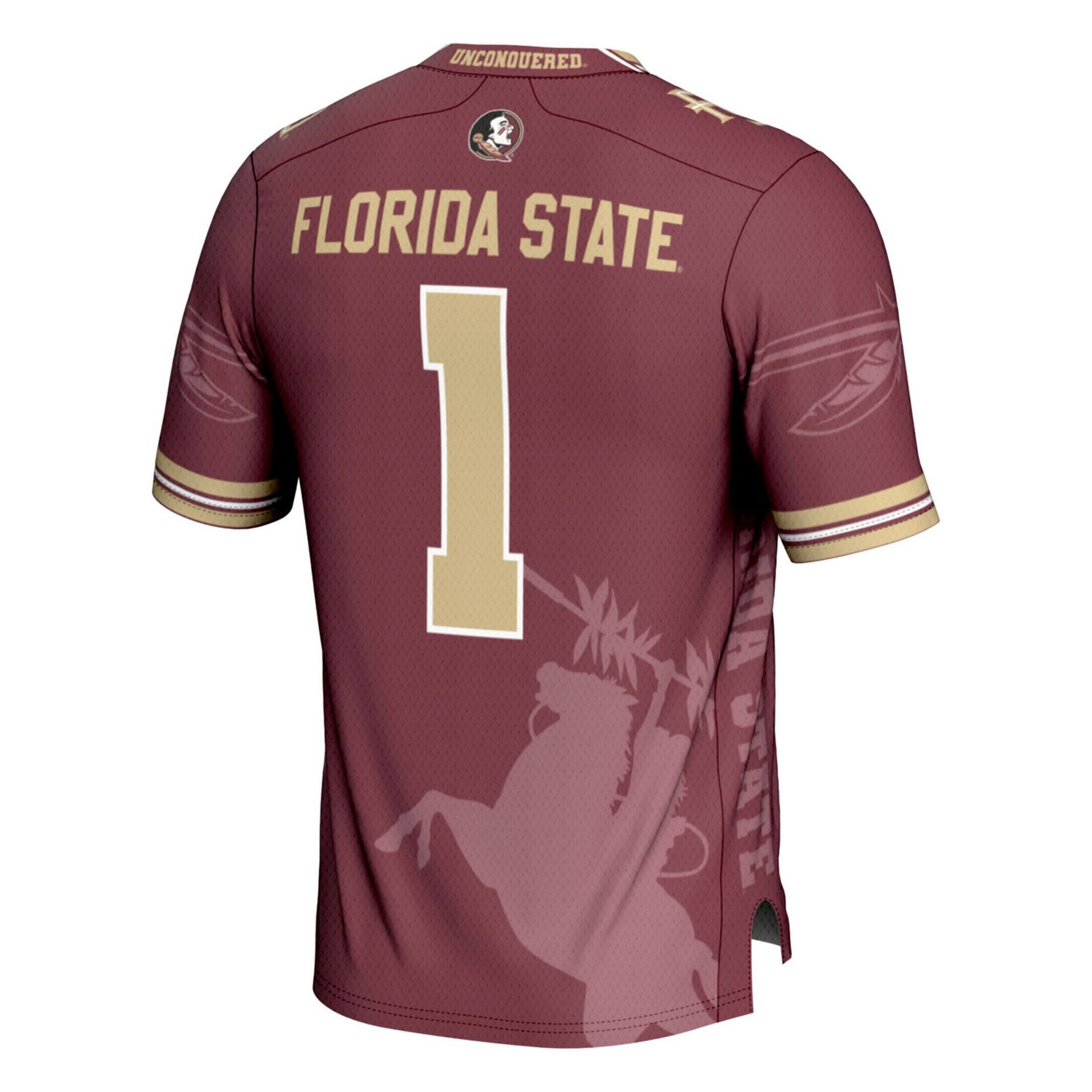 Youth GameDay Greats 1 Florida State Seminoles Icon Print Football Fashion Jersey - view number 3