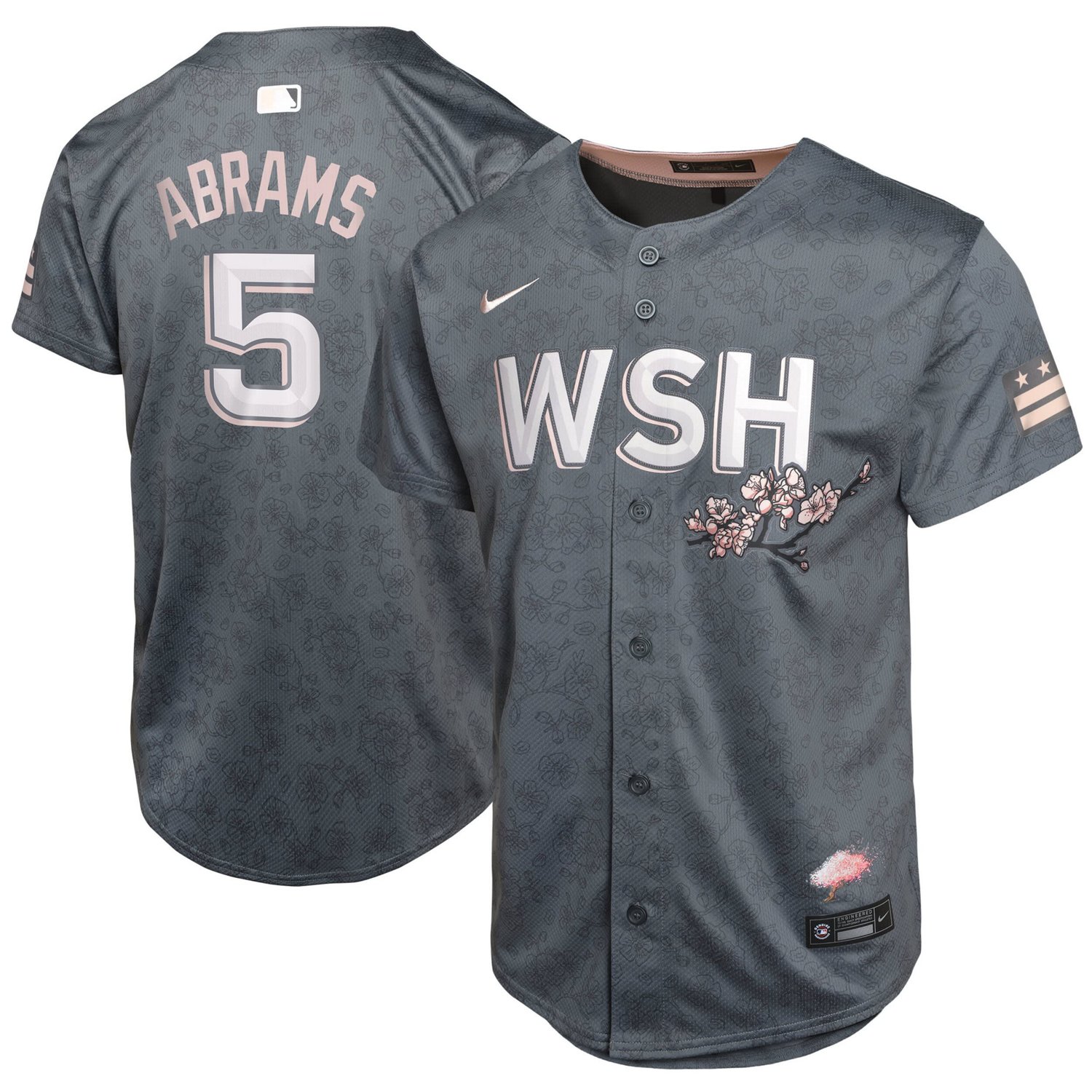 Youth Nike CJ Abrams Washington Nationals City Connect Limited Player Jersey
