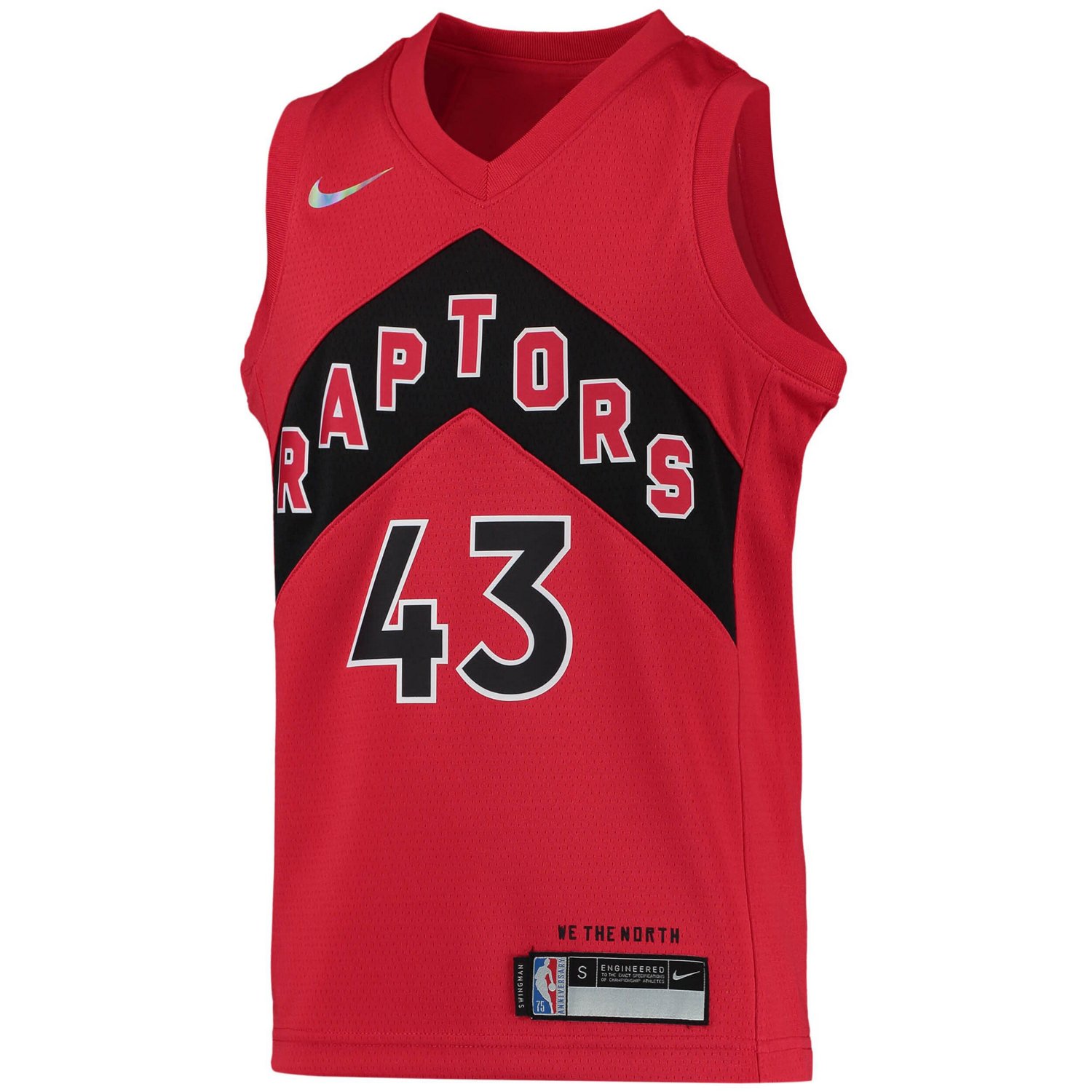 Youth Nike Pascal Siakam Toronto Raptors 2021/22 Diamond Swingman Jersey - Icon Edition - view number 2