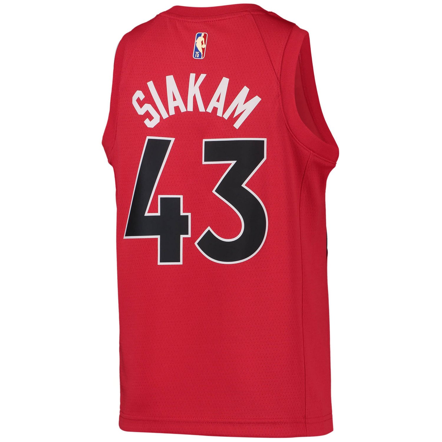Youth Nike Pascal Siakam Toronto Raptors 2021/22 Diamond Swingman Jersey - Icon Edition - view number 3