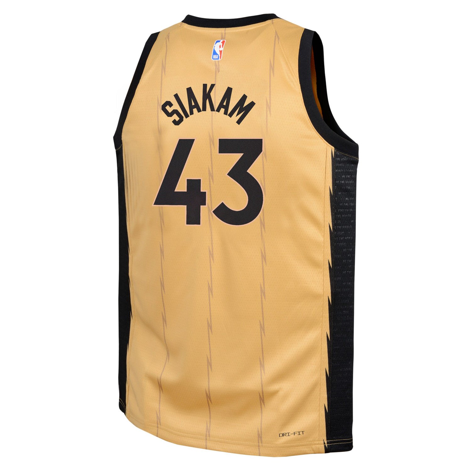 Youth Nike Pascal Siakam Toronto Raptors Swingman Replica Jersey - City Edition                                                  - view number 3