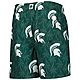 Youth Wes  Willy Michigan State Spartans Palm Tree Swim Shorts                                                                   - view number 3