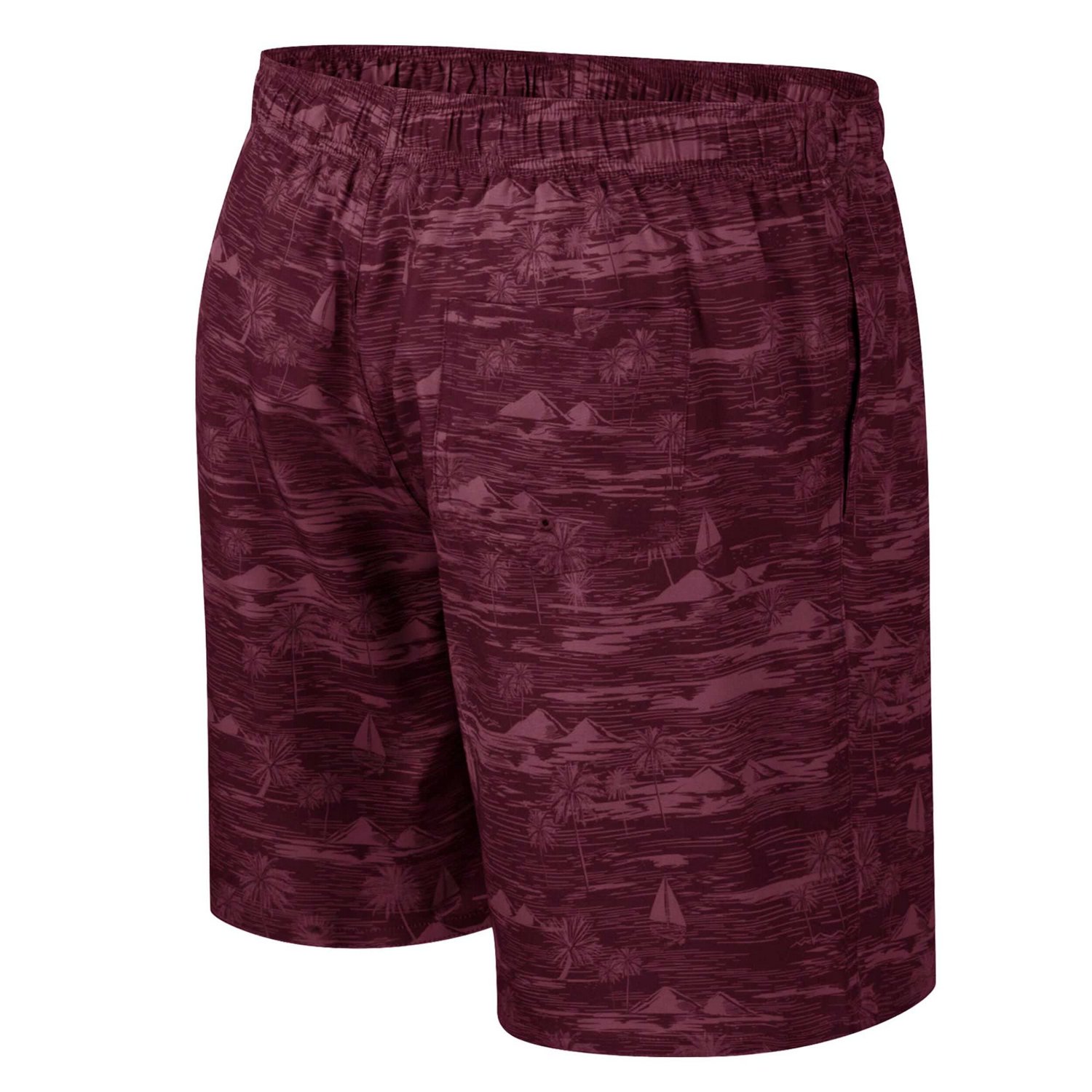 Colosseum Arizona State Sun Devils Ozark Swim Shorts                                                                             - view number 3