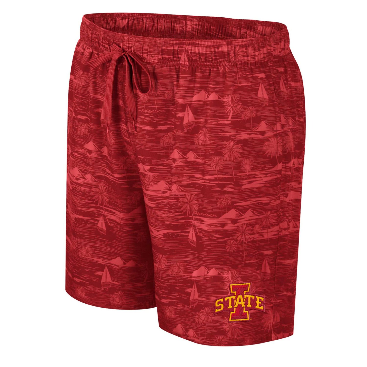 Colosseum Iowa State Cyclones Ozark Swim Shorts                                                                                  - view number 2